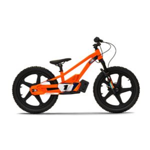 KTM STACYC 20" eDRIVE